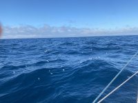 IMG_8711.jpeg