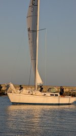 PXL_20250827_015922724.MP.jpg