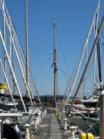 IMG_7035.jpg