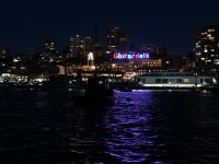 #5 Aquatic Cove view after dark.JPG