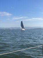 IMG_8896.jpeg