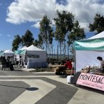 TI Food Tents.jpg