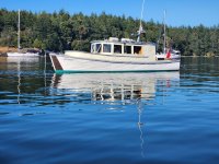 Juniper1.jpg Juniper1.jpg