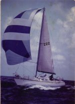 FLEUR 001.jpg FLEUR 001.jpg