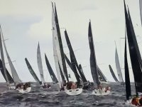Perplexity at Sydney Hobart.jpg