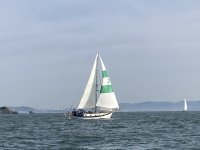 IMG_9893.jpeg IMG_9893.jpeg