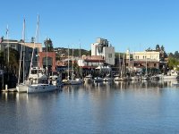 City Docks Full L.jpg